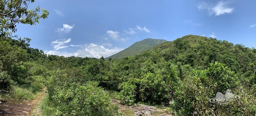 烏蛟騰>九担租>犂頭石>三椏村>印洲塘郊遊徑>三椏涌>下苗田>上苗田>九担租>烏蛟騰 (苗三、犁三古道)