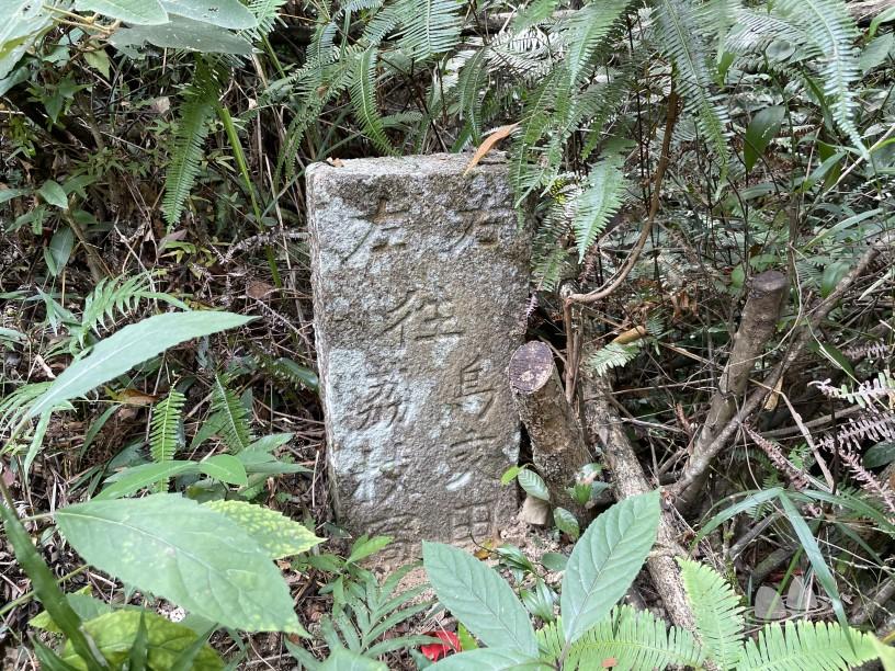 烏蛟騰>烏蛟騰郊遊徑>媽騰古道>亞媽笏>黃泥湖(南螺朝北斗穴)>荔谷古道>梅子林>蛤塘>梅子林>亞媽笏>媽騰古道>烏蛟騰