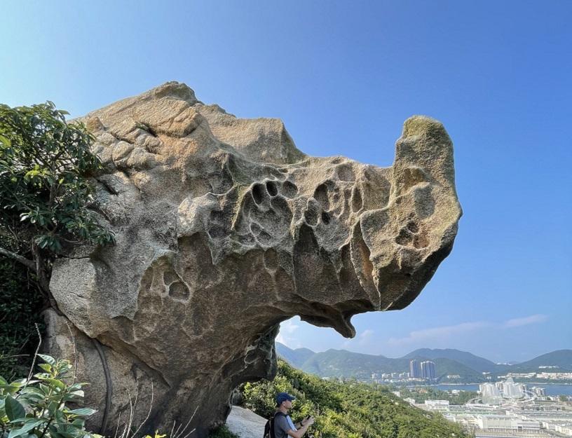 let's go hiking | 香港行山誌 let's go hiking | 香港行山誌