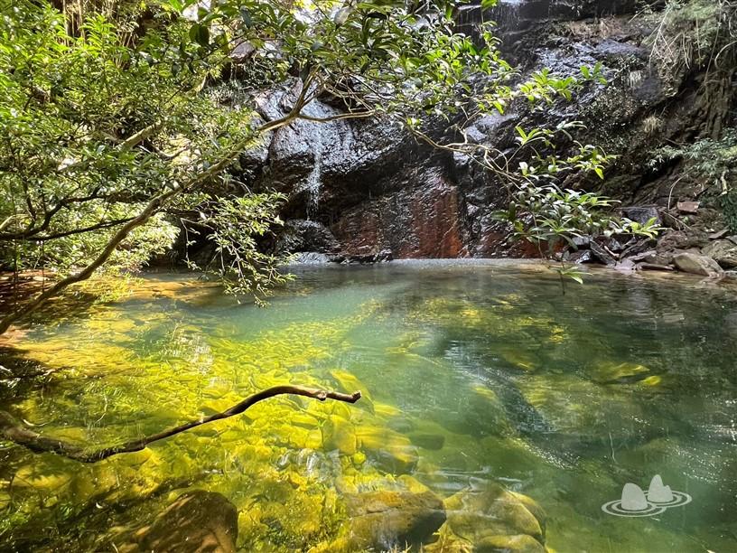 let's go hiking | 香港行山誌 let's go hiking | 香港行山誌