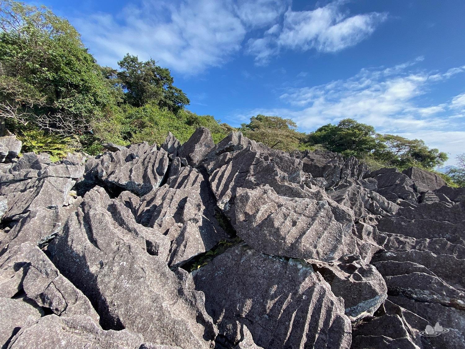 富安花園>梅子林路>梅子林>石壟仔古道>石壟仔石林 (鹿巢石林)>石壟仔>鹿巢山>梅子林>梅子林路>富安花園 富安花園>梅子林路>梅子林>石壟仔古道>石壟仔石林 (鹿巢石林)>石壟仔>鹿巢山>梅子林>梅子林路>富安花園