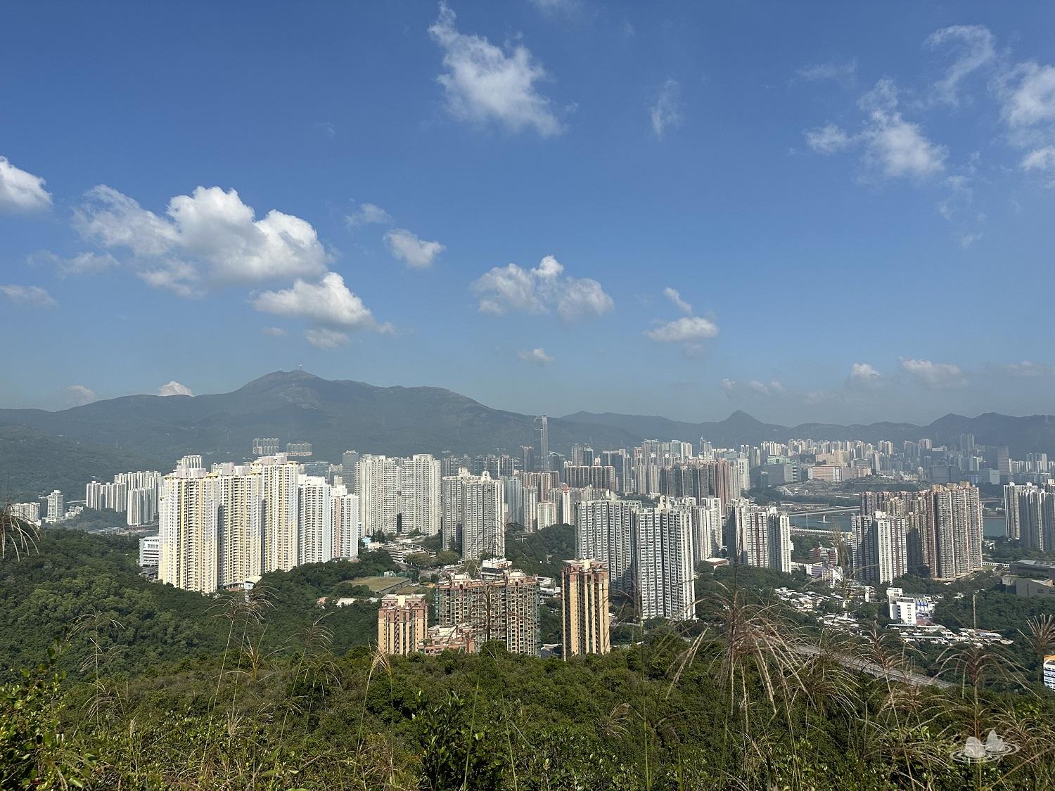 青衣西路(南面入口)>青衣自然徑>葵青慶回歸健康徑>寮肚山>青瞰徑>長宏巴士總站(北面入口) 青衣西路(南面入口)>青衣自然徑>葵青慶回歸健康徑>寮肚山>青瞰徑>長宏巴士總站(北面入口)