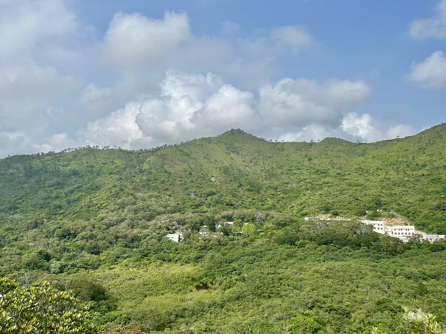 石壁水塘道>鳳凰徑第9段>東灣>67山頭>東灣>鳳凰徑第9段>石壁水塘道