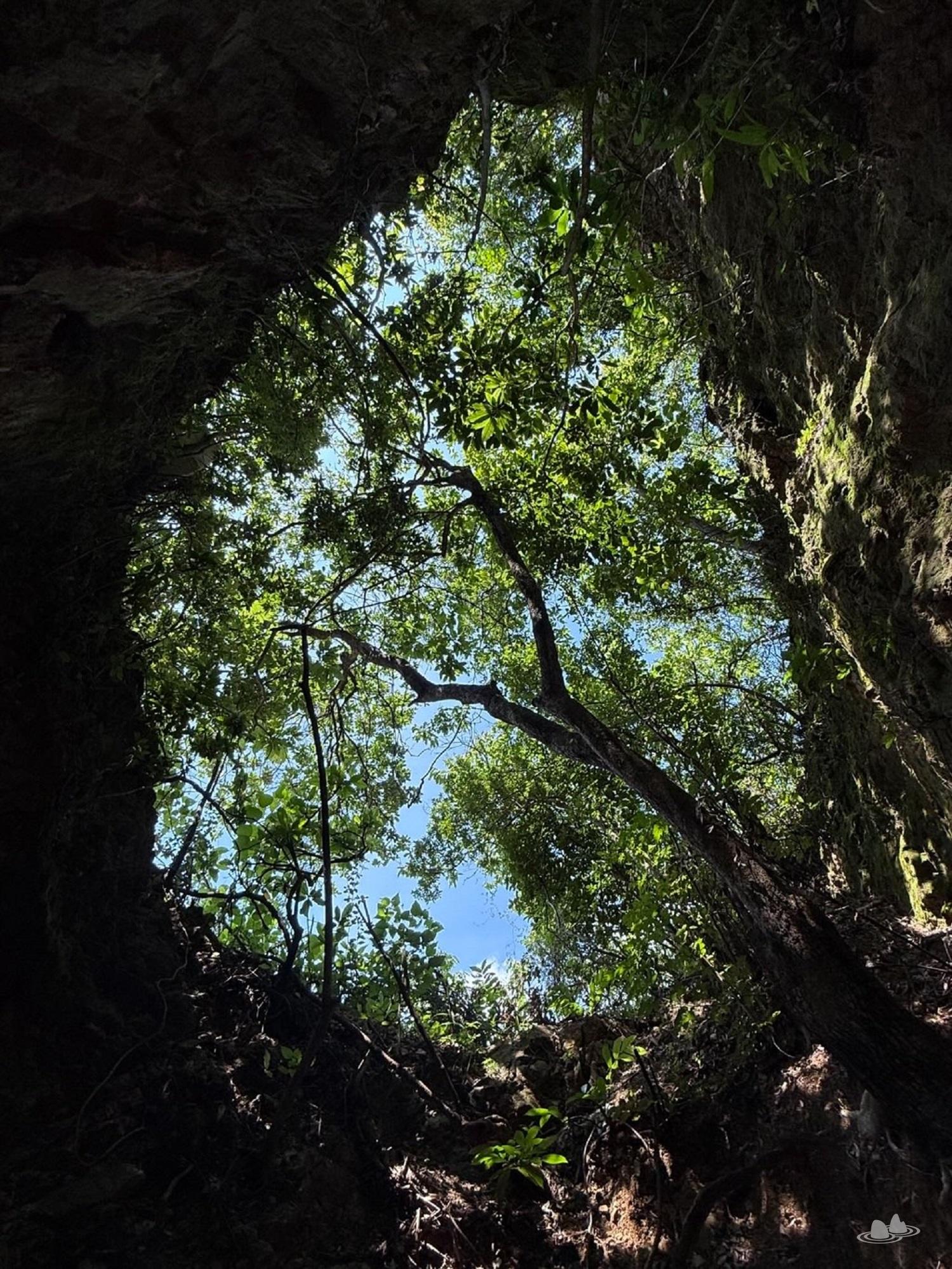 let's go hiking | 香港行山誌