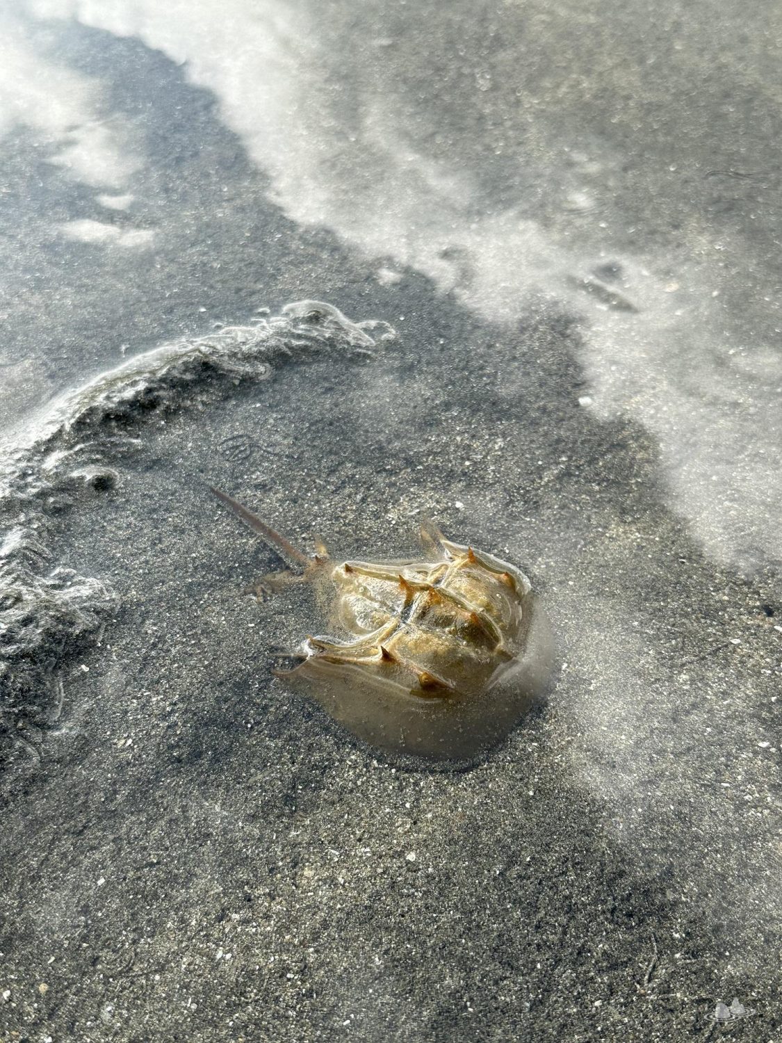 let's go hiking | 香港行山誌