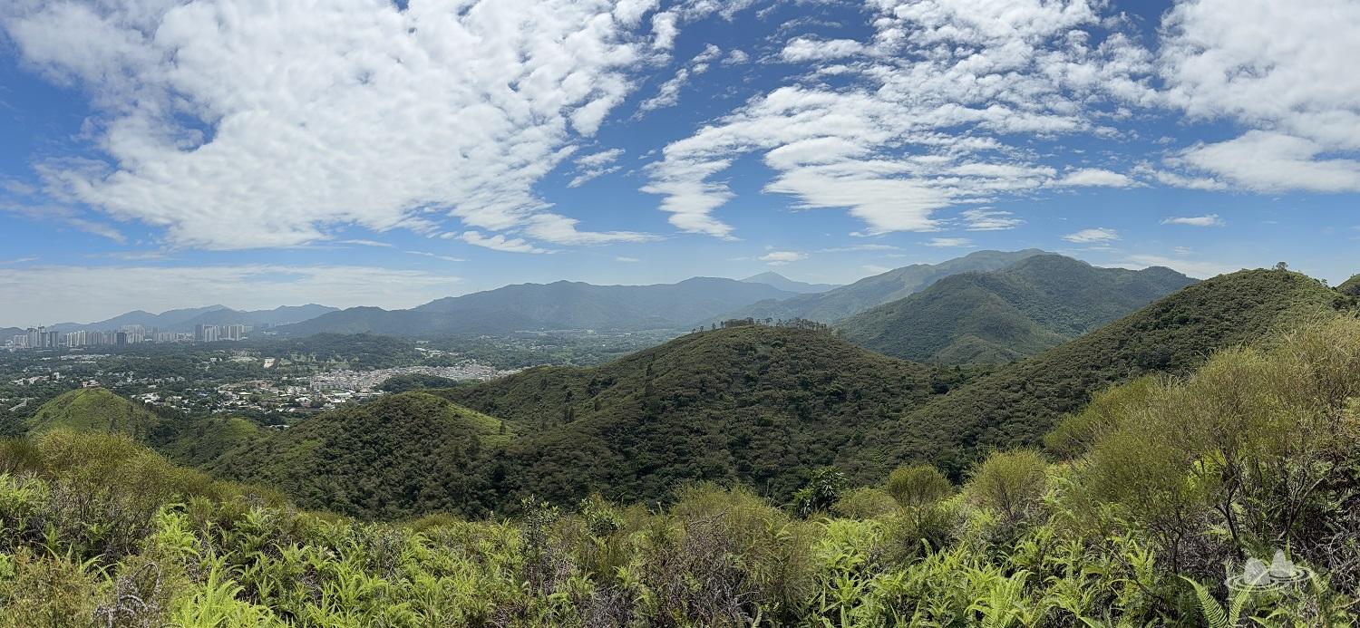 let's go hiking | 香港行山誌