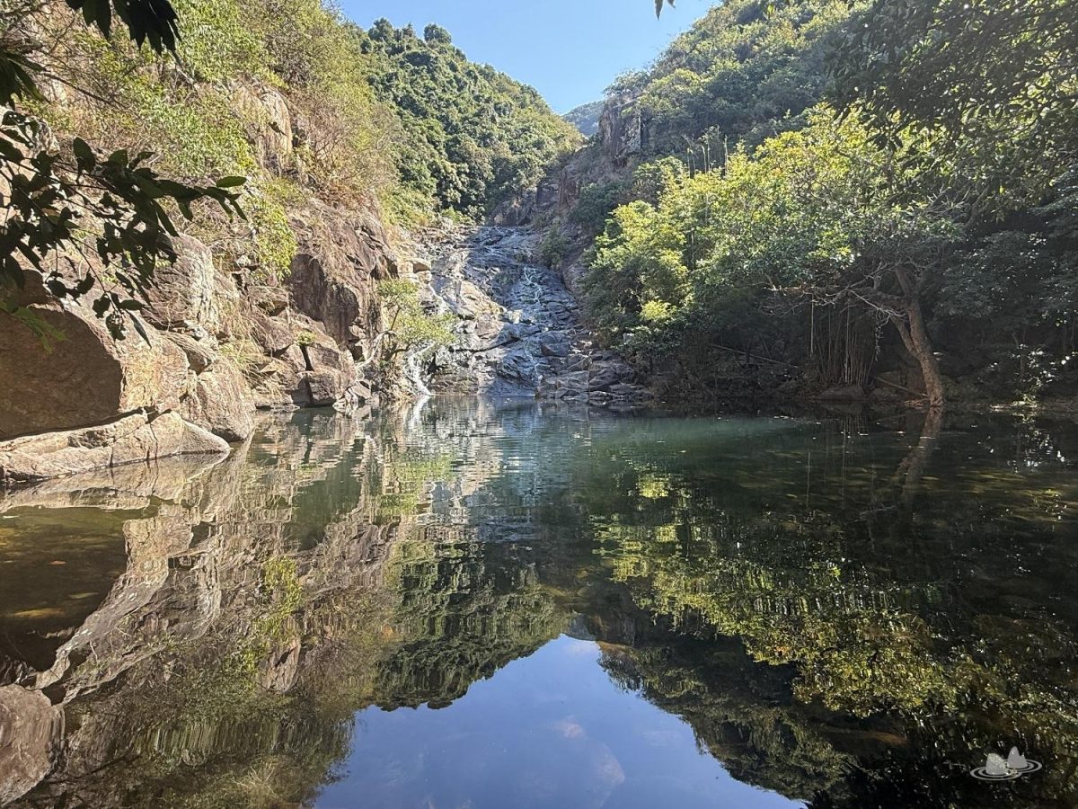 let's go hiking | 香港行山誌