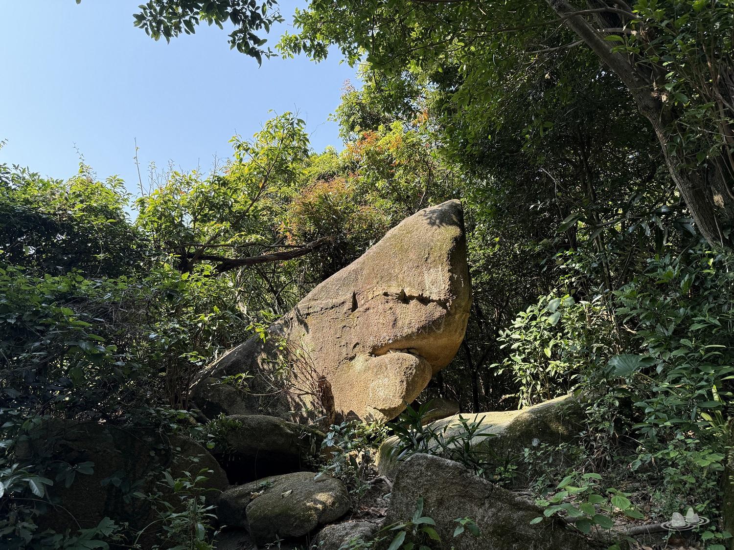 let's go hiking | 香港行山誌 let's go hiking | 香港行山誌