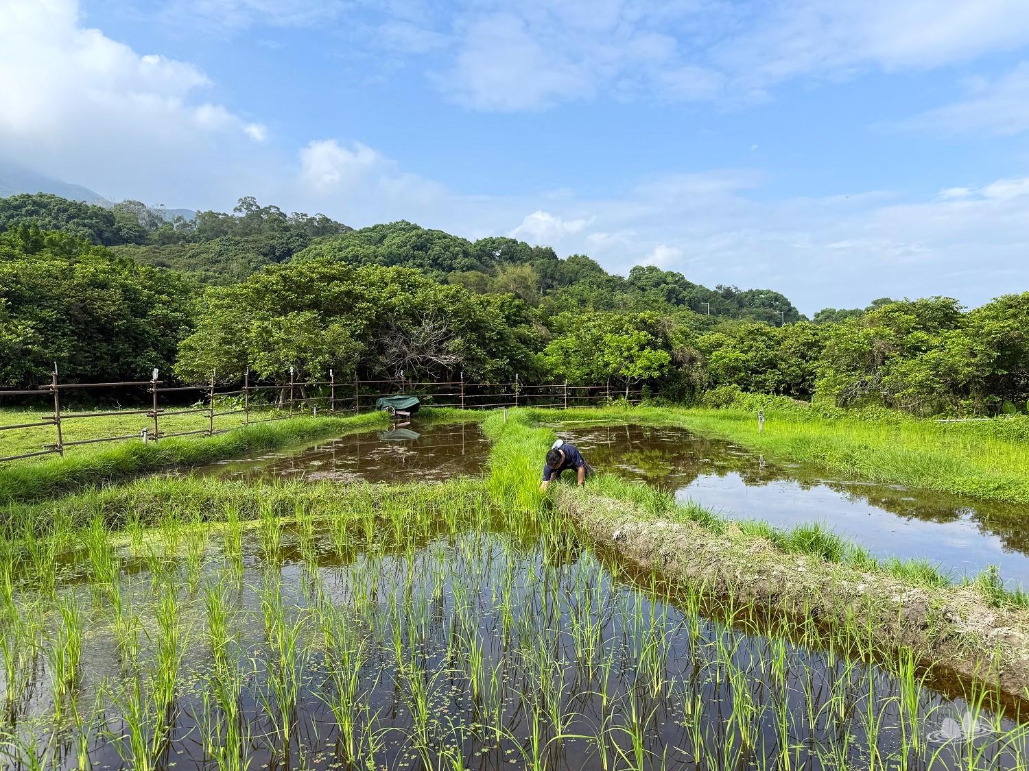 let's go hiking | 香港行山誌 let's go hiking | 香港行山誌