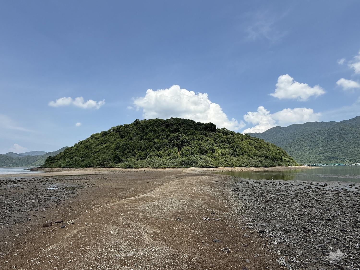 let's go hiking | 香港行山誌