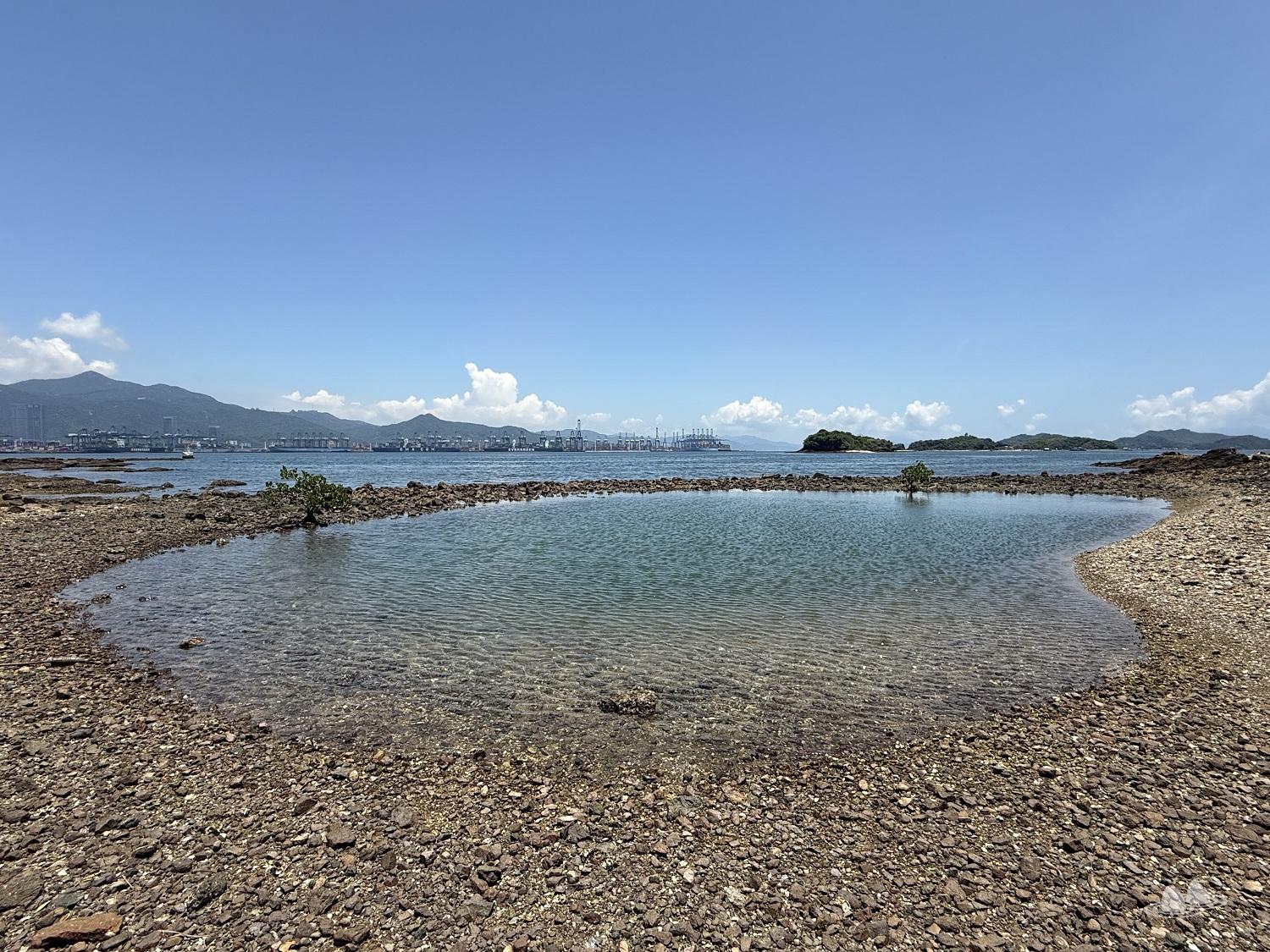 榕樹凹碼頭>企山咀>芝麻籠>三角咀>大深涌篤>天池>長排頭>上角咀>鎖羅盆碼頭>山嗚>荔枝窩碼頭