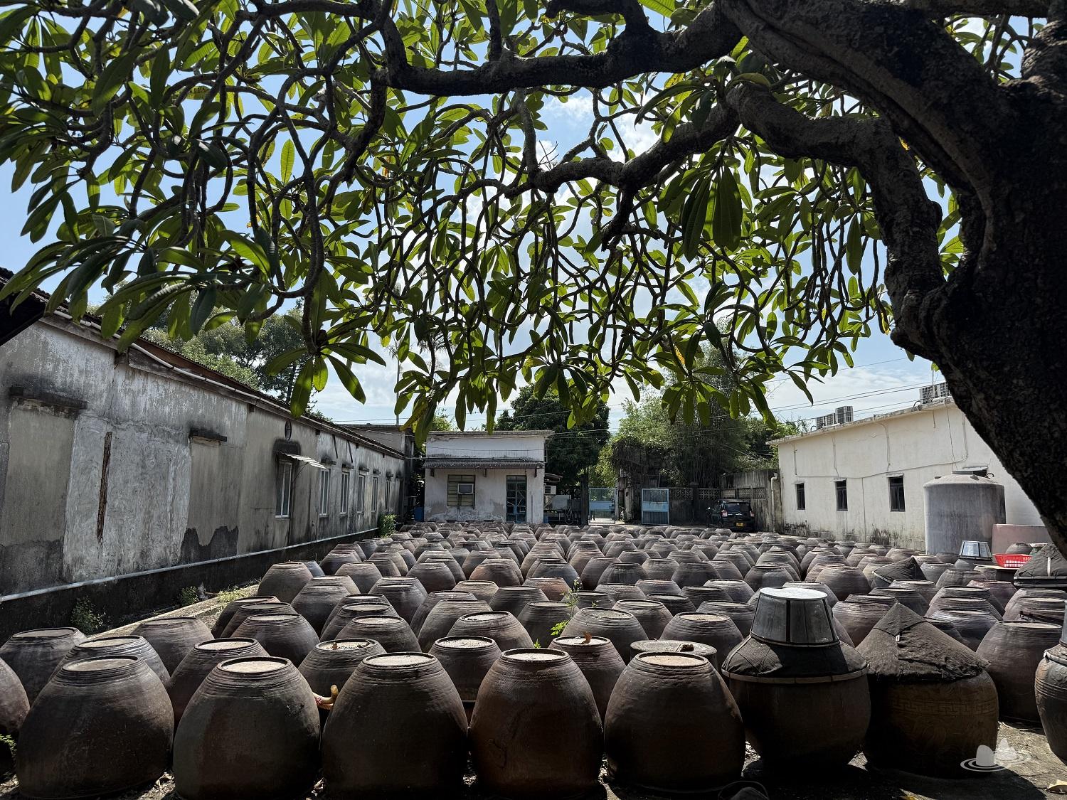 let's go hiking | 香港行山誌