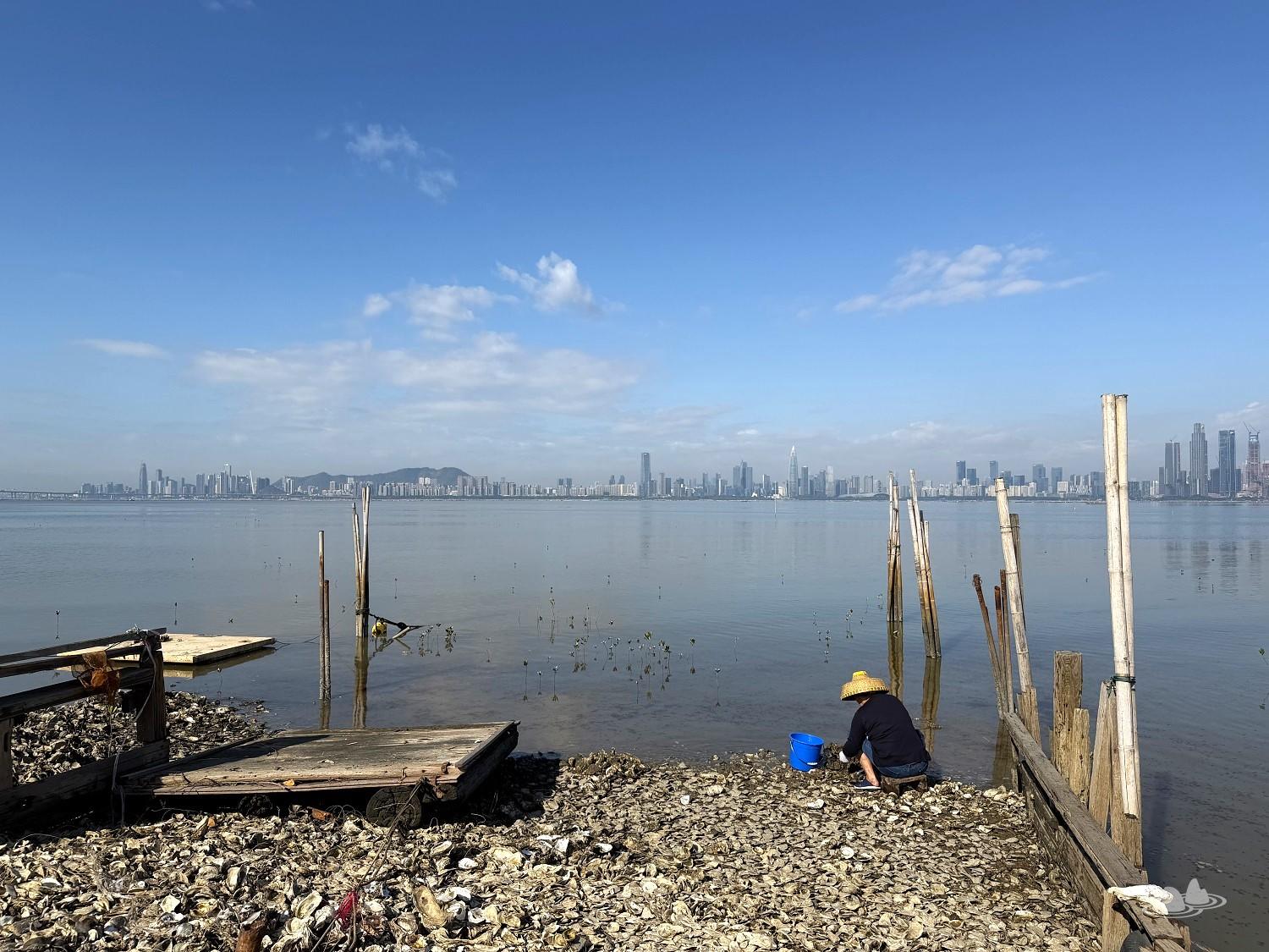 「蠔鄉港情 — 探索蠔養殖技藝」導賞團 + 行山路線